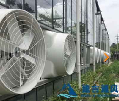 蔬菜大棚安裝負壓風機效果圖片 蔬菜大棚安裝負壓風機效果圖片