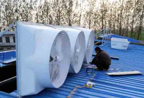 上海玻璃鋼屋頂風(fēng)機(jī)價(jià)格 上海玻璃鋼屋頂風(fēng)機(jī)價(jià)格